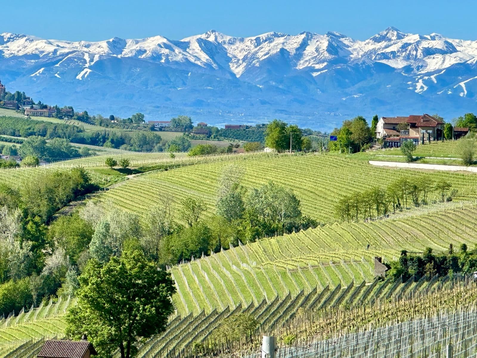 Barolo & the Vineyards of the Langhe: A Wine Lover’s Day Out by Train