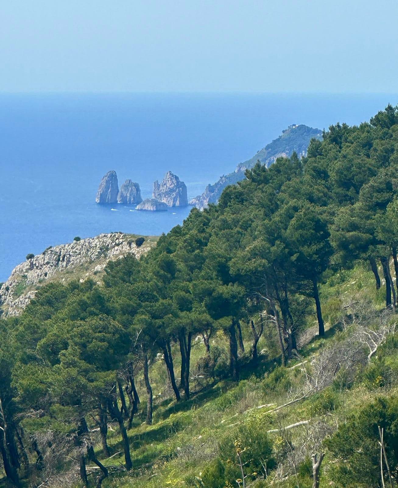 Escape the Amalfi Coast Crowds: Coastal Walks & Punta Campanella by Train & Bus
