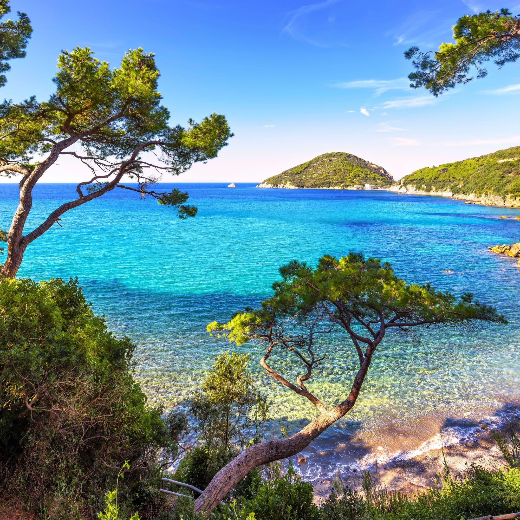 From Pisa to Elba by Train & Ferry: Tuscany’s Coastal Escape