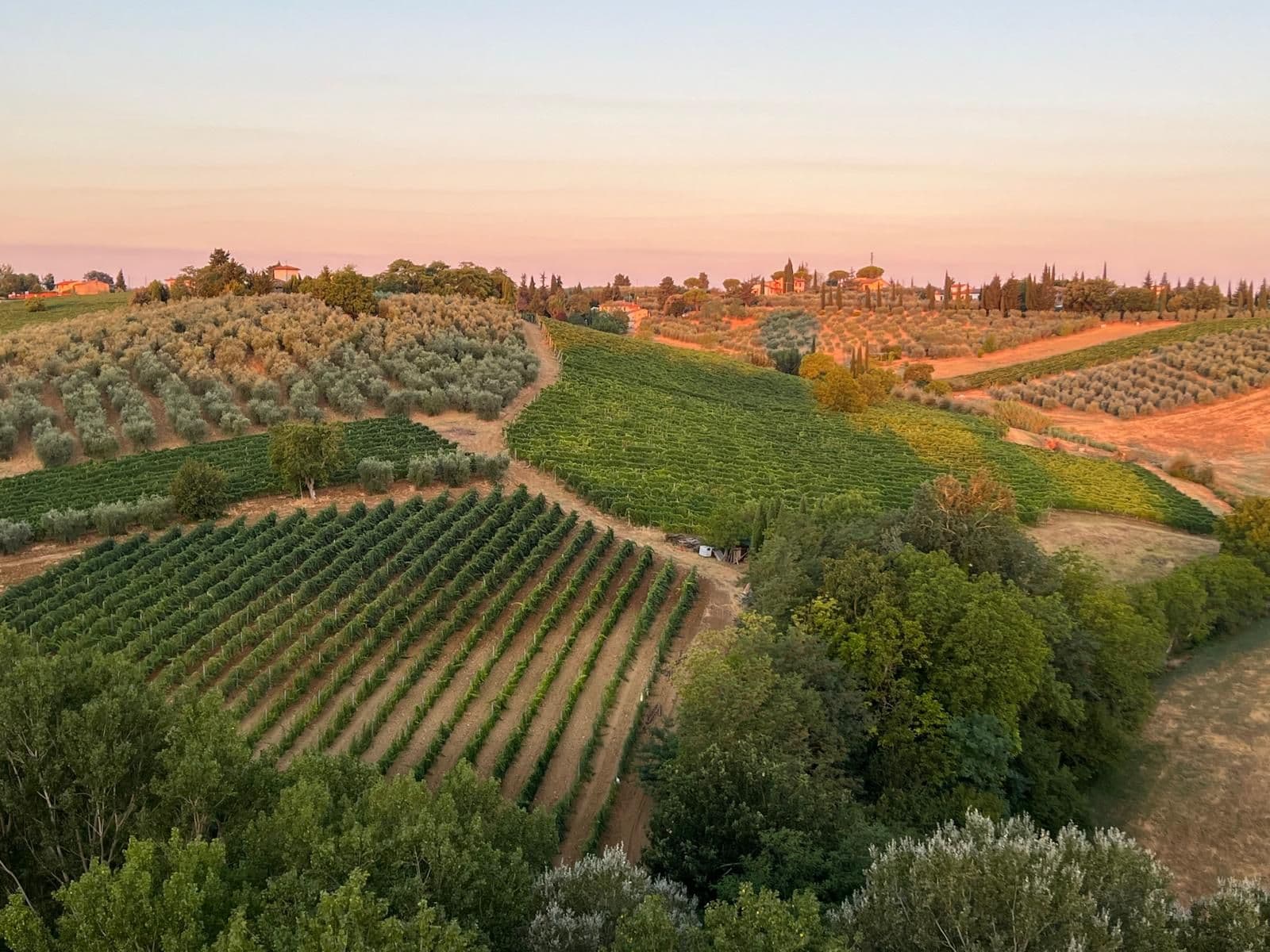 Why Summer Is the Best Time to Explore Tuscany by Train