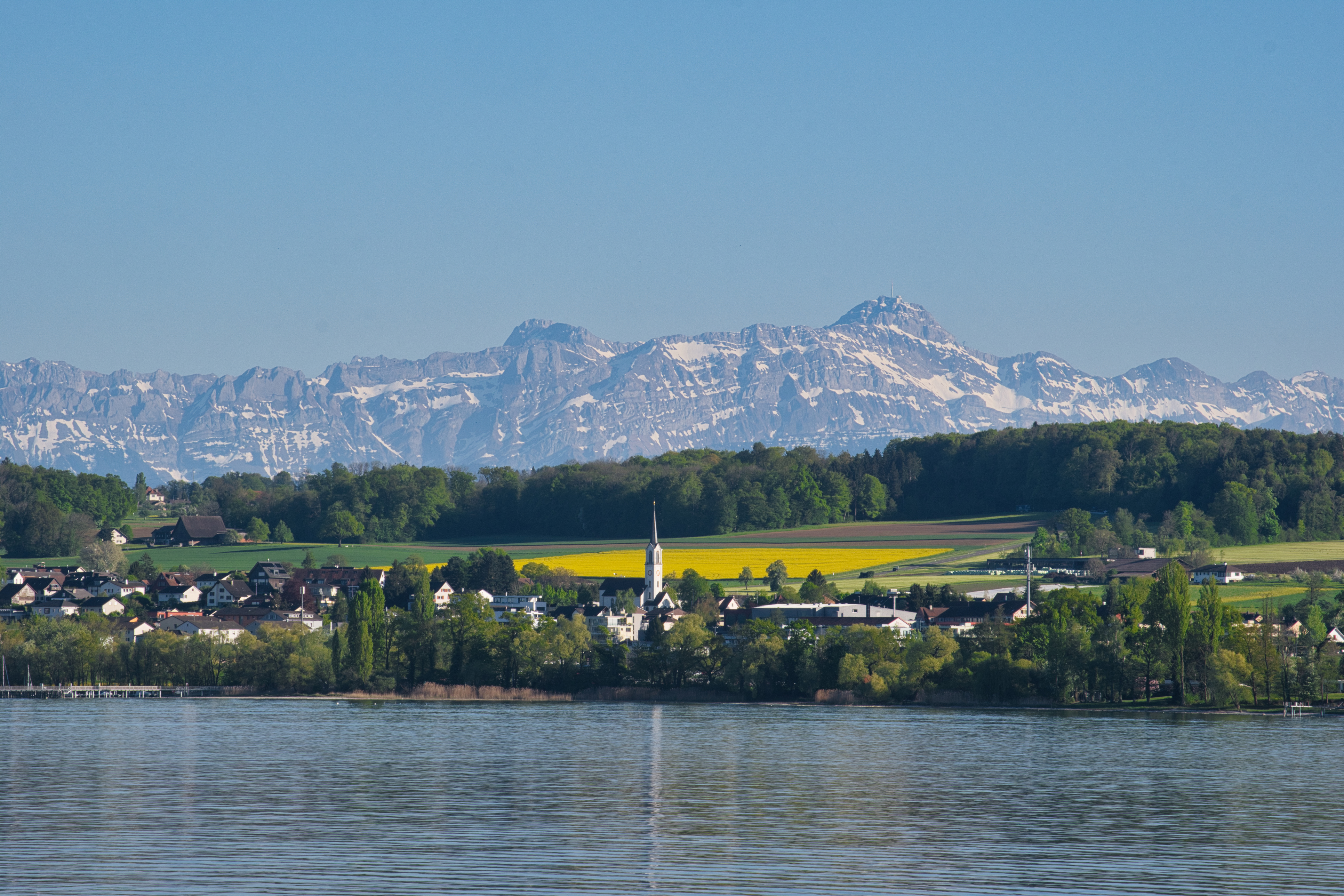 The shore of Lake Constance, with the Alps beyond the water