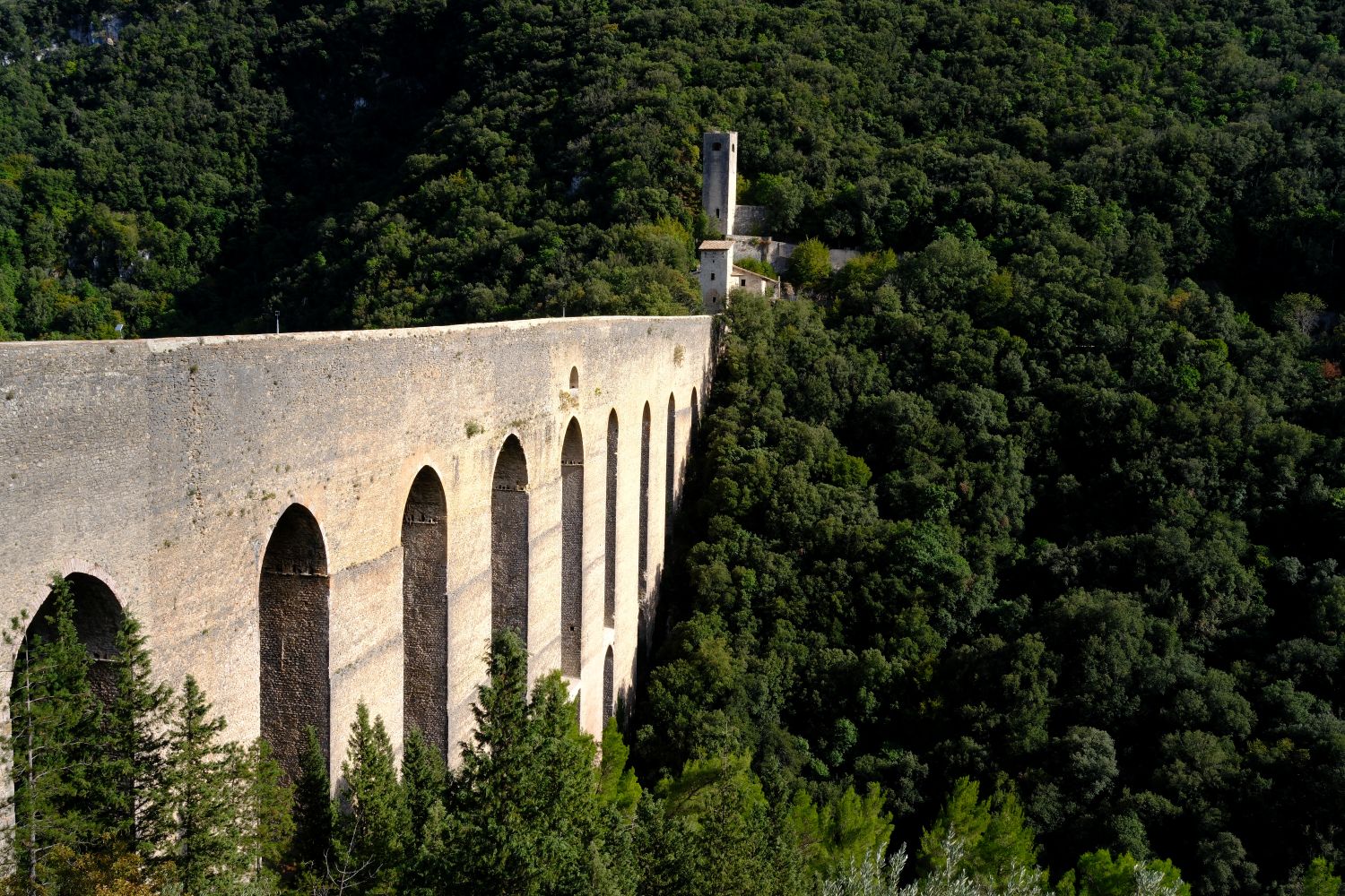 The arches of the Ponte delle Torri against the wooded slopes of Monteluco