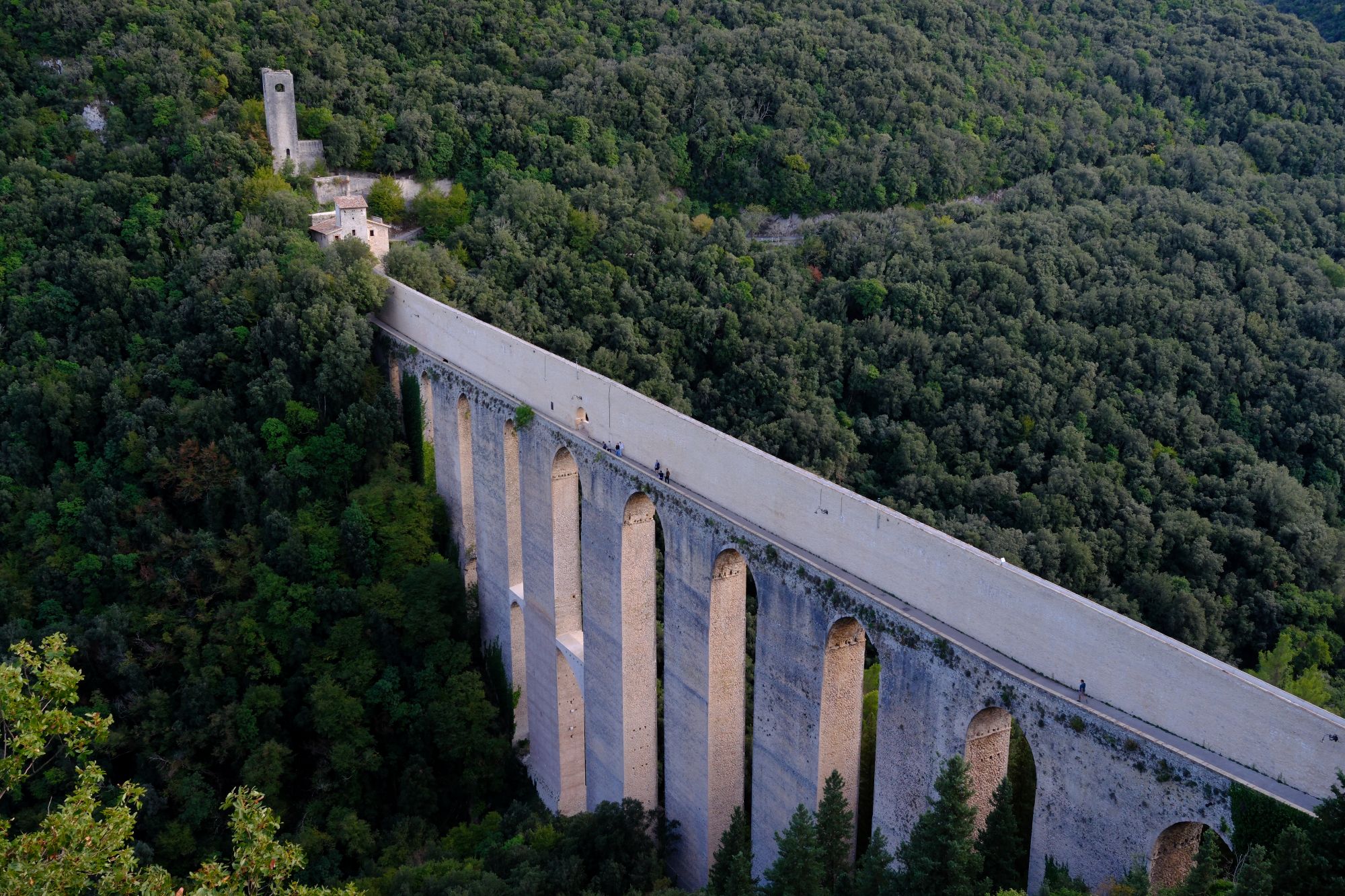 The Ponte delle Torri from above, its tall arches crossing a densely wooded gorge