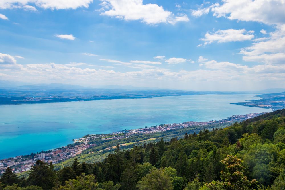 Neuchâtel and Lake Neuchâtel seen from the forested ridge above the town, with the Alps beyond